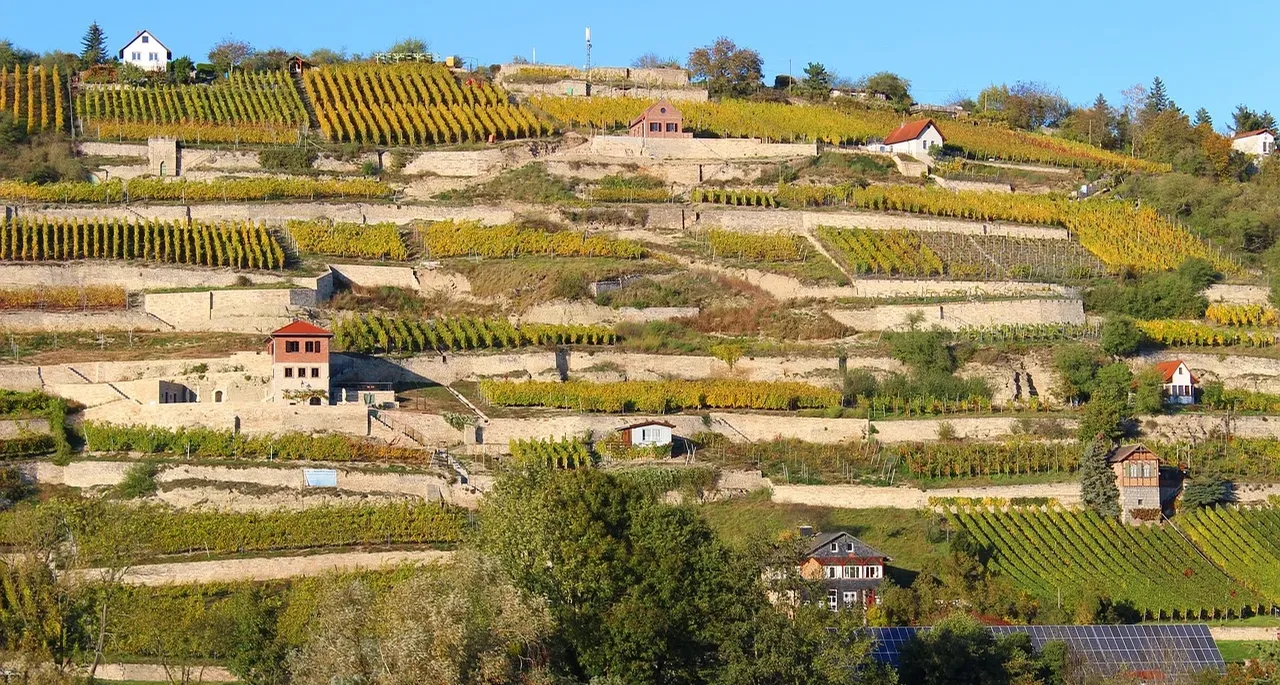 Weinbergweg